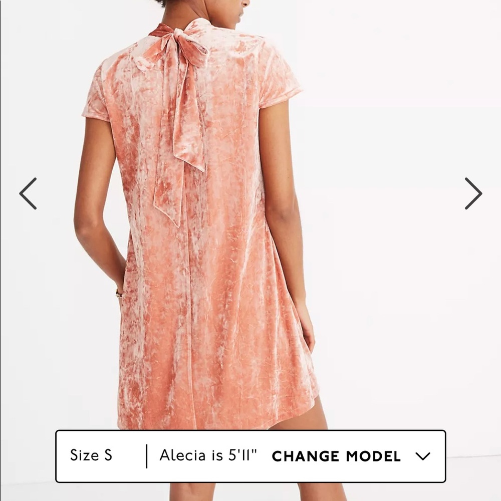 Madewell velvet mockneck dress L
